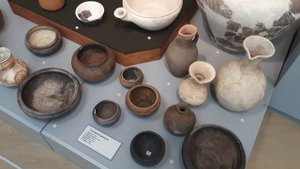 Музей Краевеческий