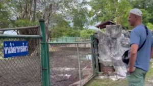 Белый павлин и сиамские крокодилы: Удивительное приключение в зоопарке!, ч.2