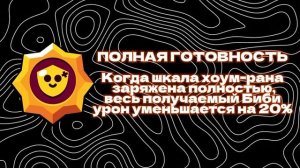 ЛУЧШИЙ ГАЙД НА БИБИ В 2024 ГОДУ