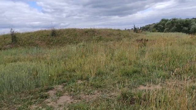 nature flowers беларусь красота  green