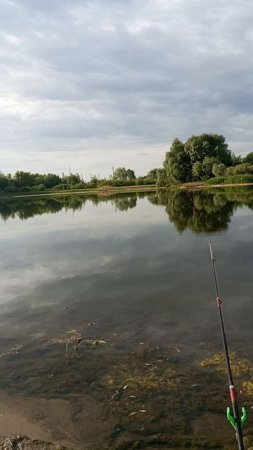 31.05.2025