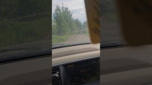 1000088543.mp4