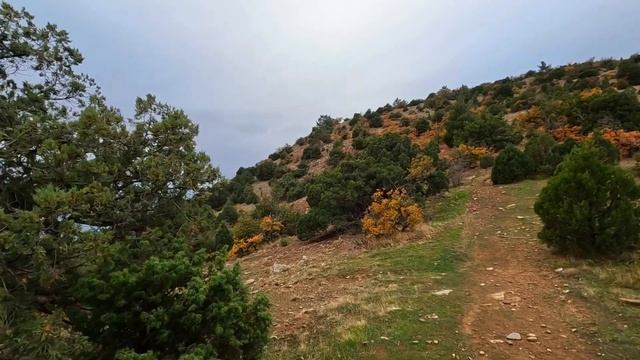 ЯЗЫК ТРОЛЛЯ в КРЫМУ! Скрытый уголок рая: КАК ПОПАСТЬ к ? смотреть онлайн