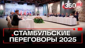 США могут надавить на Украину, чтобы она приехала в Стамбул 2 июня на встречу с Россией