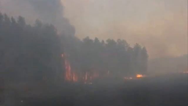 Лесные пожары