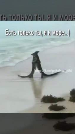 Есть только ты, я и море...)