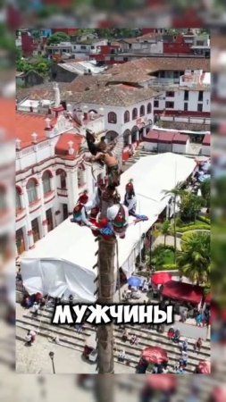 Танец #shortvideo #shorts #video #mexico #мексиканцы #Мексика #танцы #мем #юмор #развлечения