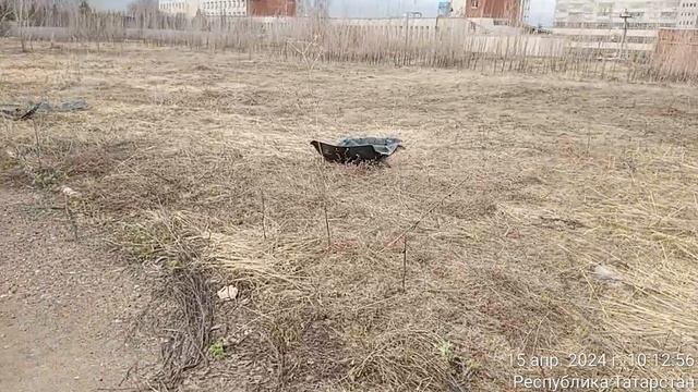 ГОЛОС ИЗ НАРОДА TimeVideo_20240415_101119
