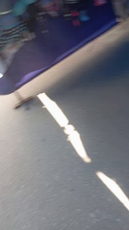 пойдëм в чикен пиццу