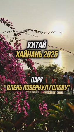 #Хайнань2025 🏝️ Парк "Олень повернул голову" 🌇 Вход бесплатно по паспорту👍 #путешествия #физрукпа