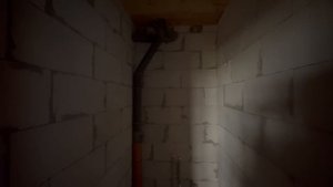 7167431