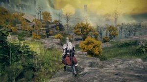 Как правильно играть в Elden Ring?