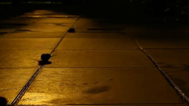 Забавные улитки смотреть онлайн