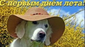С первым днем лета!