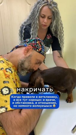 А как ваши питомцы ощущают себя на приеме?