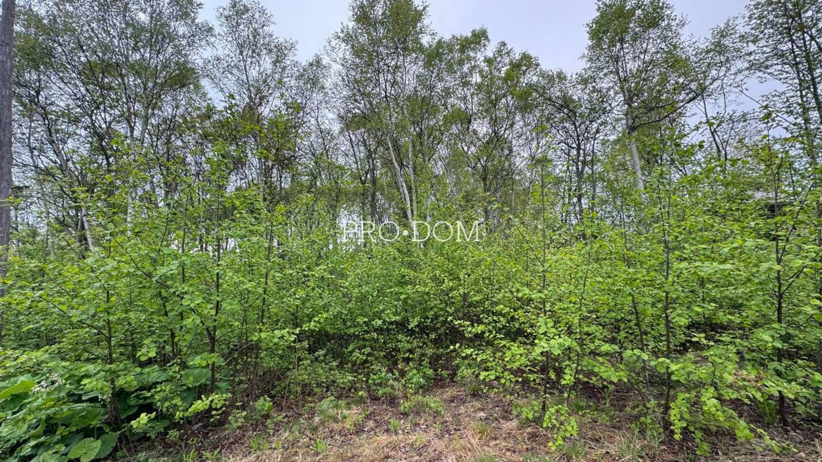 Продаются два смежных участка в СНТ Весточка — площадь 10 соток и площадь 9,5 соток. смотреть онлайн