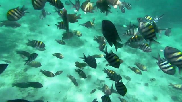 Vietnam islands. Видеосъемки Одесса. Острова Вьетнама. смотреть онлайн