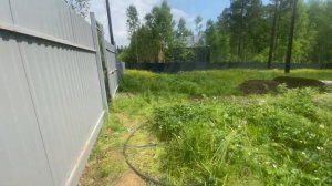 Вести с полей. Татьянин сад