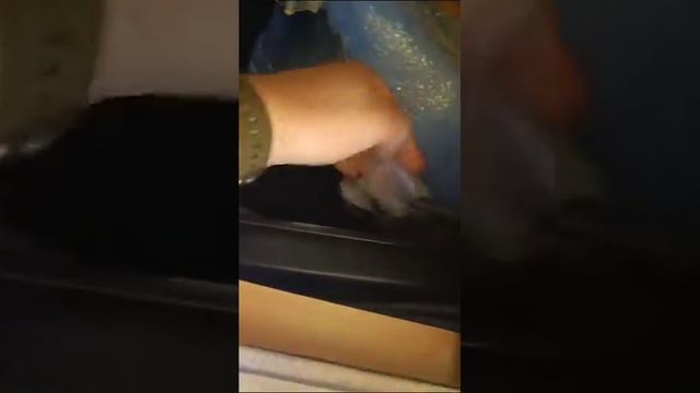 Обслуживание фанкойла