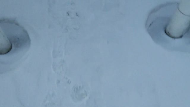 Это НЕ ПРОСТО сервер | Гусиная Заявка на КОР | Майнкраф? смотреть онлайн