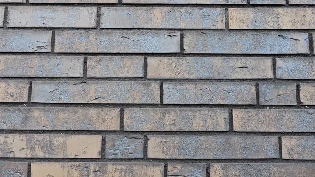 5 января 2025 г. смотреть онлайн