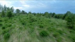 30.05