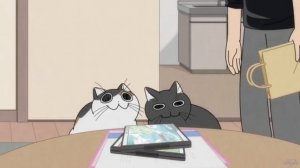 Вечера с кошкой 3 сезон(9-13)DreamCast