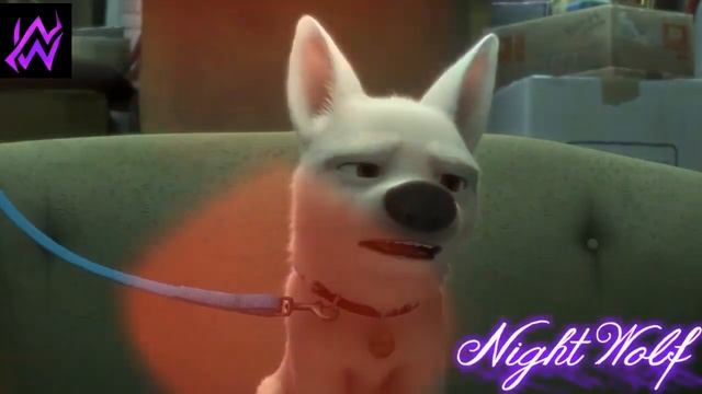 Вольт "День,ночь руки прочь"(Суперпёс) смотреть онлайн