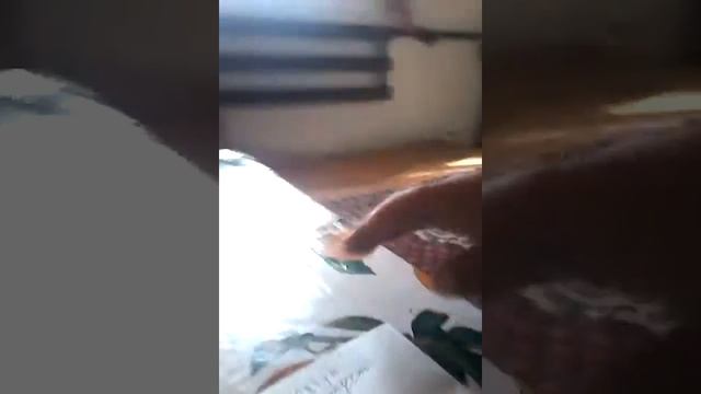 Гномик отырыкпа распа аитындарш бауырлар шакырдым кемеды го смотреть онлайн