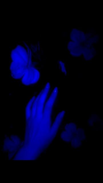 Эстетичные синие обои на телефон смотреть онлайн