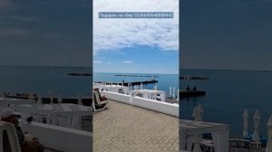 СОЧИ 🎉 День города Открытие моста Волшебный лист #всеосочи Прямой эфир