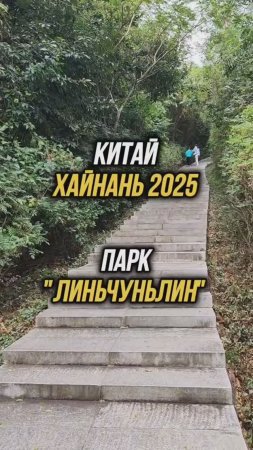 #Хайнань2025 🏝️ Парк "Линьчуньлин" Lin Chun Ling Forest Park 🌇 Вход свободный👍 #путешествия #кита