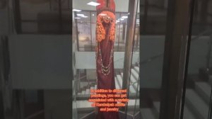 Милана Алиакберова, 3 возрастная категория