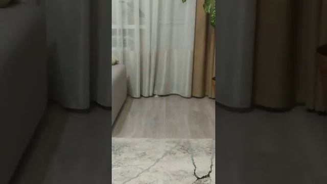 Любимая занавеска  : Мой день 7