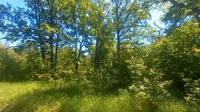 Расслабляющие Звуки Природы. Природа От Которой Невоз