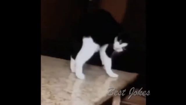 Дикий Ржач 2017 часть 3 смотреть онлайн