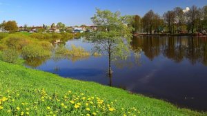 СП Носочный календарь 2025/ Май/ В ноль с Галиной Головиной