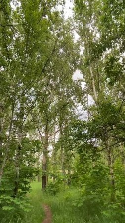 Москва. Строгино. После дождя.