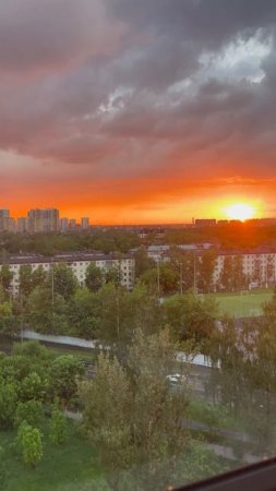 Дико красивое солнце в окне