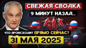 Андрей Белоусов: Свежая Сводка (31 мая 2025) - Что происходит Прямо Сейчас?
