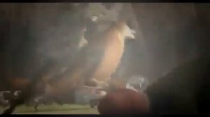 Сезон охоты - Сезон охоты