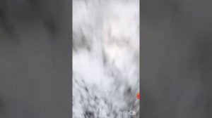 мои друзья нашли сгоревшую машину 😱😱😱😱😱😱😱