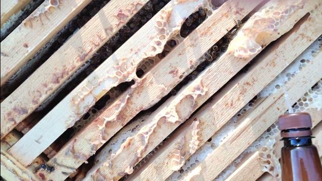 ПЕРВЫЙ УДАР ПО КЛЕЩУ 2022 ГОДА