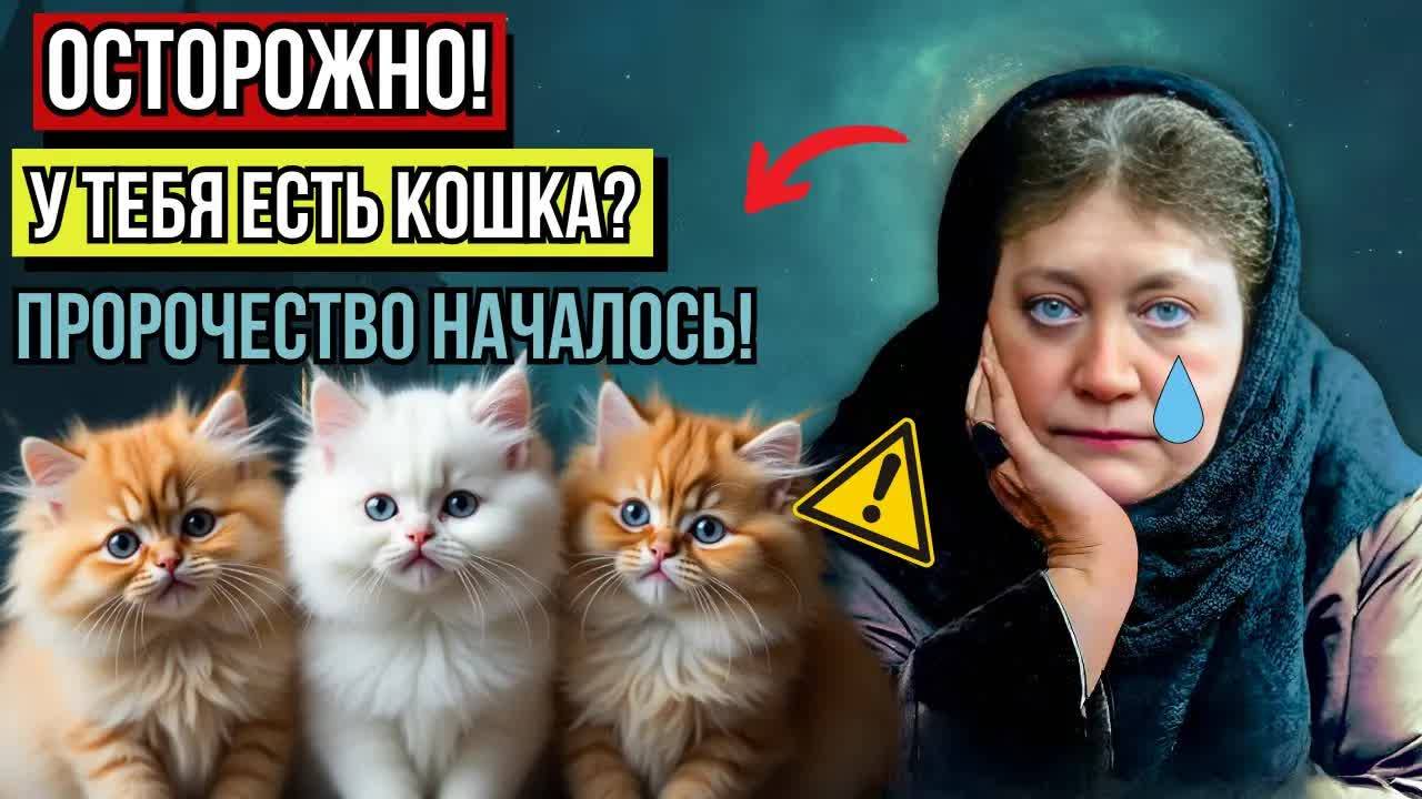 ПРЕДСКАЗАНИЕ Елены Блаватской для тех, у кого есть КОТ ДОМА — уже началось, и ВСЕ В ШОКЕ!
