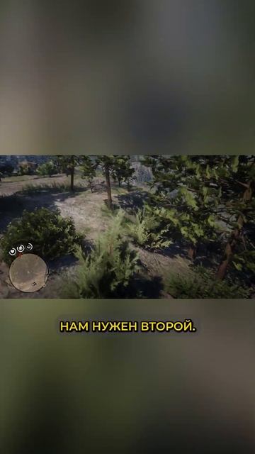 №2 Сокровище Джека Холла. Испытание исследователь РДР 2.  #рдр2 #rdr2
