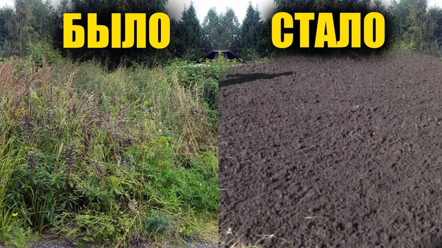 Секрет, как убрать сорняки и пни НАВСЕГДА! Один раз — и порядок на участке! 🌱💪