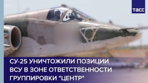 Су-25 уничтожили позиции ВСУ в зоне ответственности группировки "Центр"