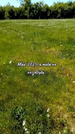 Прощай, весна🌱 

#последнийденьвесны #май2025 #AlinaKlyukva #кареглазаяблондинка