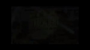 new Черный лебедь