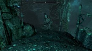 Skyrim Лидия не смогла пройти, поэтому телепортировалась
